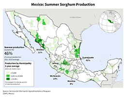 images\MX\seasonalmap\Mexico_Summer_Sorghum_preview.png
